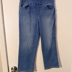 Gloria Vanderbilt Blue Denim Overalls